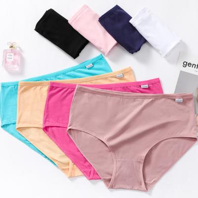 China Plus Size Plus Size Women Underwear XXXL Women's Cotton Underwear Seamless Briefs XXXXXL for sale