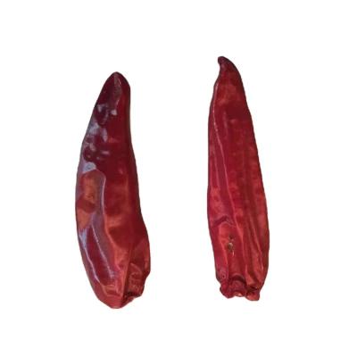 China Chinese 100% Natural Soft Dry Red Chili Ready Dry For Export for sale