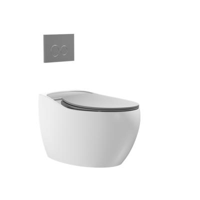 China Double-flush small volume home toilet smart bathroom wall mounted toilet wall mounted toilet for sale