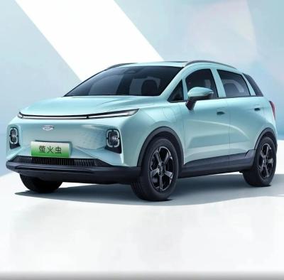 China Customized Geely Geometry E Firefly 2024 301km Streamer Edition Pure Electric Car SUV for sale