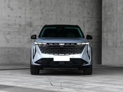 中国 使用寿命 ≤1年 ジーリー・ボーイ・L エネルギー用車 自動車 道路用ガソリン用SUV 販売のため