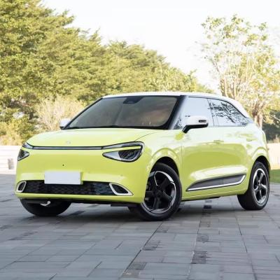 China Coche eléctrico Dong Feng Nano Box 330km Solicitud personalizada Lite Air Plus Max Venucia Vx6 en venta