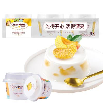 China Nutritious Low Calories Fruit Snack Assorted Fruit Dessert Jelly Konjac Jelly Pudding Healthy for sale