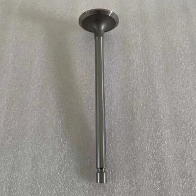 China Machinery Repair Shops High Quality Engine Intake Valve 4895187 For Case 580SK 580G 580K 580L for sale