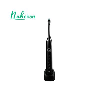 China 2021 ABS New Arrival OEM Environmental PP And Private Label Rechargeable Automatic Sonic Electric Toothbrush for sale