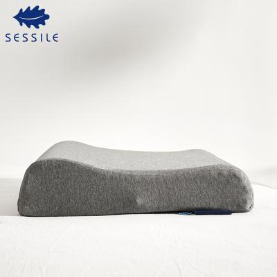 China Hotel and Home Bedding Antistatic Wholesale Comfortable Pure Latex Pillow for sale