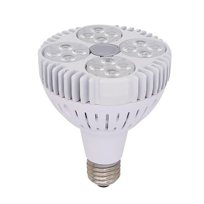 China Decorative Led Bulb Light 30w Hotel and Jewelry Shop E27 Pedestal Led Par Light Lamp for sale