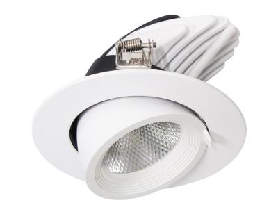 China Recessed Adjustable Led Downlights Adjustable Led Spot Downlight Ceiling Down Light Rotating Led Trunk Light for sale