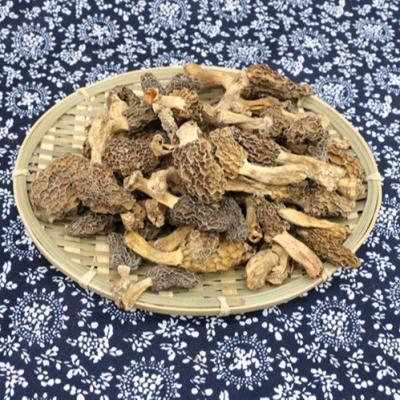 China Quality Price Guaranteed Dried Nightshades Mushrooms Morchella Conica Suitable Nightshade for sale