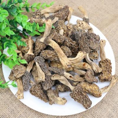 China Dried Made in China Top Grade Mushroom Dried Black Dried Nightshade for sale