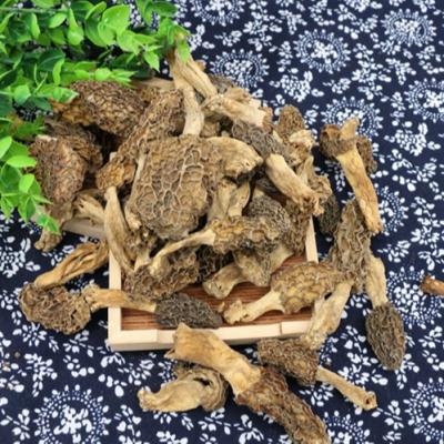 China Hot Selling Good Quality Dry Dried Black Nightshade Mushroom Nightshades Price for sale