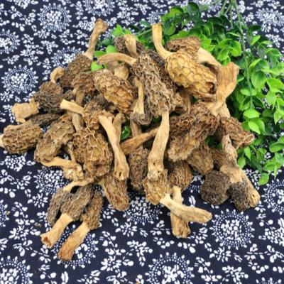 China Top Quality Dried Widely Used Organic Mushroom Dried Black Dried Nightshade for sale