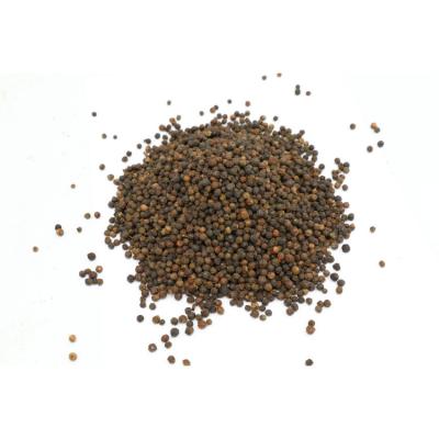 China Fresh Bulk Price High Quality Dry Organic Black Pepper for sale