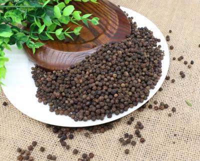 China Fresh Made China Top Quality Grinding Organic Black Pepper Sprink for sale