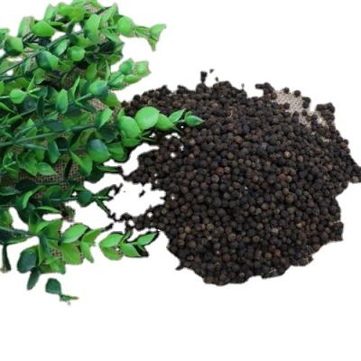 China Factory Supply Cool Price Supplier Organic Black Pepper Price for sale