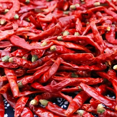 China Factory Directly Wholesale High Quality Dry Chilis Dry Chili Pepper Sesame Soy Peanut Red Chili for sale