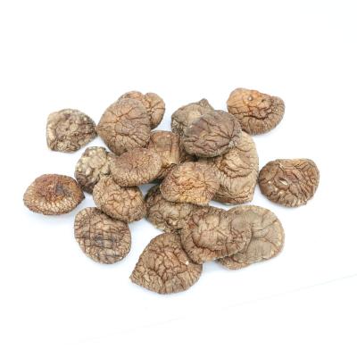 China Factory Sale Various Chrispy Dride Dried Widely Used Shiitake Mushroom for sale