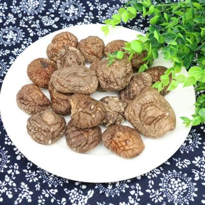 China Dry dry balls spread spores for sale shiitake mushroom spores for sale