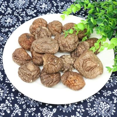 China Wholesale Hot Sale Dried Fresh Shitake Dried Shiitake Mushroom Forming for sale