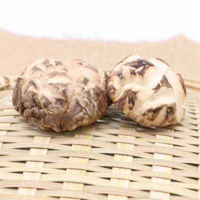 China Factory Supply Good Price Season Mushroom Dry Edible Mushroom for sale