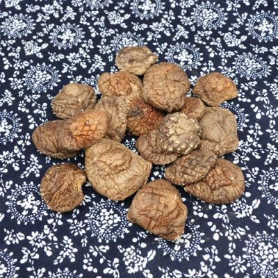 China Factory Supply Bargain Price Dry Shiitake Dried Mushroom for sale