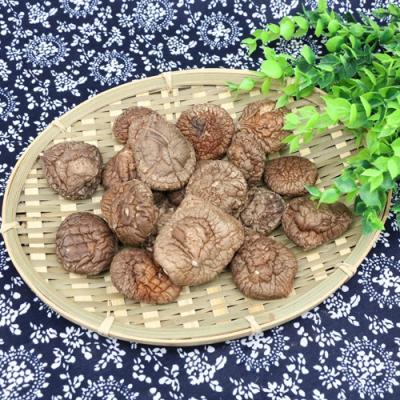 China Chrispy Dry Wholesale Quality Dehydrated Dried Shiitake Mushroom Flavored for sale