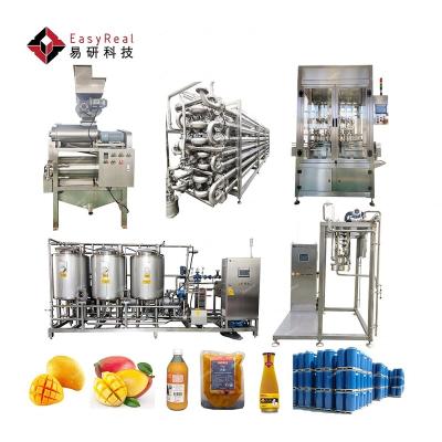 China Automatic Factory Machine Equipment for Making Mango Juice Mango Pulp Processing Machine and Mango Juicer Production Line Price for sale