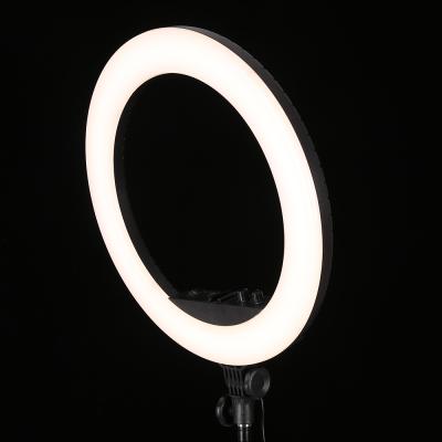 China Cheap Price High Quality PORTABLE 18 Inch Selfie Ringlight Tripod Mount LED Ring Light With 2.1m for sale