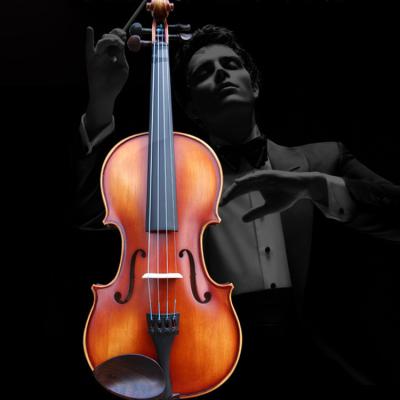 China Flawless Wholesale Professional Violin Practice Musical Instrument String Violin for sale