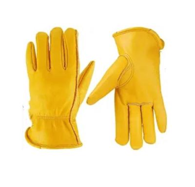 China Glove Fashion Leather Working Gloves Men And Women For Construction Farm Gardening Motorcycle With Elastic Wrist for sale