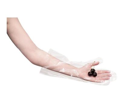 China Food Grade Eco - Friendly Strip Plastic Gloves Disposable One Size Fits Most For Household Food Handling for sale