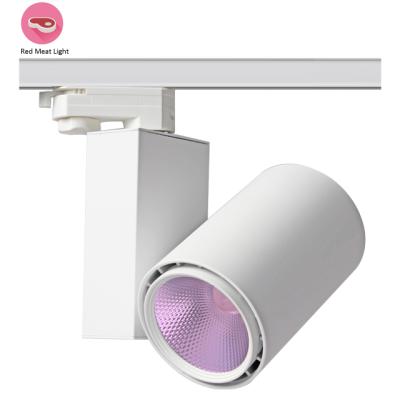 China Commercial Lighting Food Track Led Light Rail Lighting Spotlight 30W For Meat Fish Beef Chicken for sale