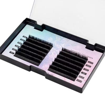 China Delicate Wholesale High Quality Silk Lashes Private Label Volume 0.03 Dual Density Loop Eyelash Extensions for sale