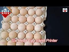 six nozzle automatic egg spray coding machine printing