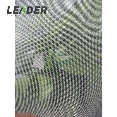 China Agriculture Greenhouse Insect Net Netting High Quality White Transparent Greenhouse Anti Insect UV Resistant for sale