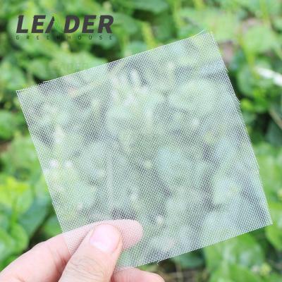 Cina Greenhouse Garden Agriculture Insect Net HDPE UV Resistant 40mesh 50mesh Anti Insect Mesh Net in vendita