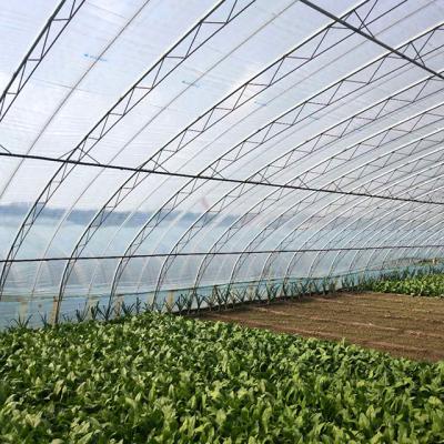 Chine 200 Micron Fruit Vegetable Flower Hot Selling Plastic Sheet Greenhouse Greenhouse Film For Sale à vendre