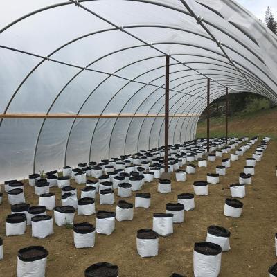 Cina Hot Selling Agricultural Fruit Vegetable Flowers Hemp Grow Greenhouse Blackout Greenhouse 30ftx100ft Greenhouse in vendita