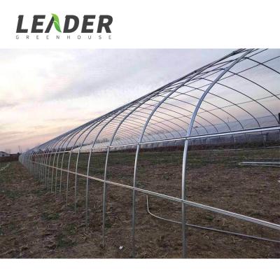 China Cheap Plant Flowers Vegetables Fruits Tunnel Plastic Sheet Greenhouse Simple Project For Sale for sale