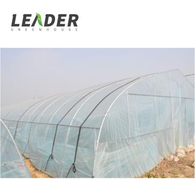 중국 Stable Structure Easily Assembled Single Span Garden Tunnel Galvanized Steel Pipe Greenhouse Project 판매용