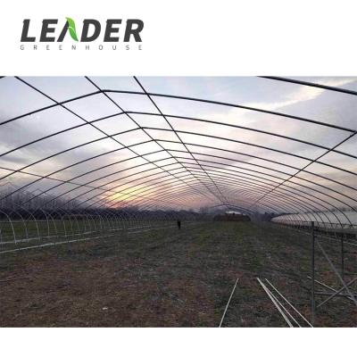 China Commercial single-span steel pe film stir wire galvanized steel frame growing mushroom tunnel greenhouse project for sale