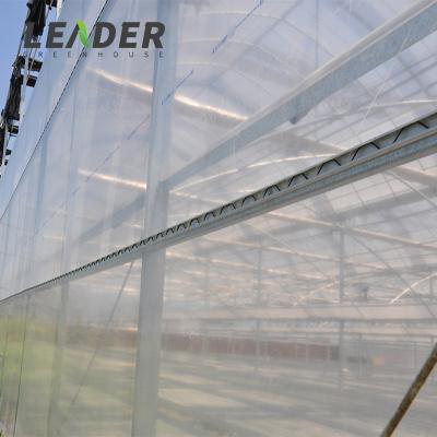 China Sunlight Steel Commercial Multi Span Strength Structure Farm Greenhouse High Quality Hot Dipped Galvanized Project for sale