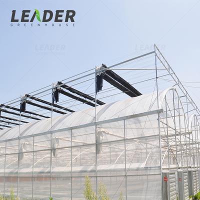 China Vegetable Plastic Greenhouse Or Hot White Tomato Steel Greenhouse Greenhouse Mushroom Sale for sale