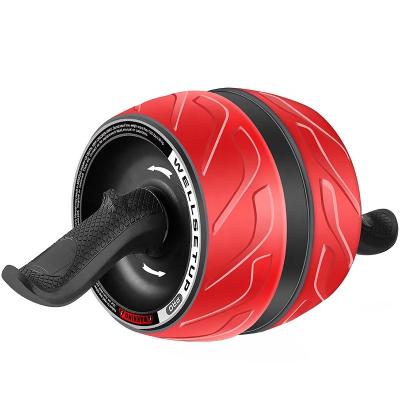 China PP+Steel+PVC Bestselling Home Fitness Abdominal Roller And Ab Wheel Roller With Mat for sale