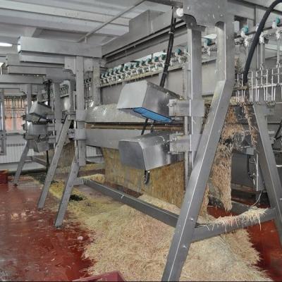 China Poultry slaughtering equipment POULTRY chicken plucker for sale