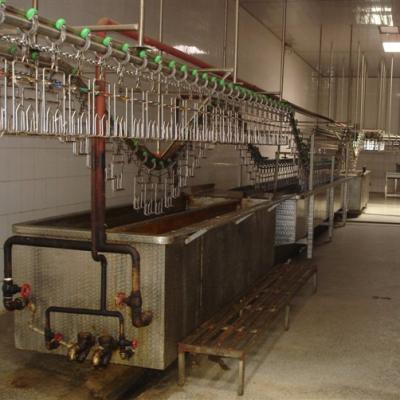 China Sheep lean slaughter equipment for duck slaughterhouse for sale