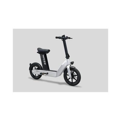 China Factory Direct Sale Aluminum Alloy Better Kit Electricity Smart Type Bicycles Two Person Electric Bicycle for sale