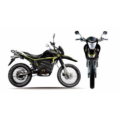 China Steel+iron China Professional Manufacture High Performance Sports Electric Motorcycles for sale