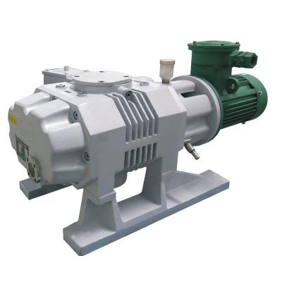 China Industrial boilers Xinanjiang roots mechinel vacuum pump purchase vacuum pump China roots pump for sale