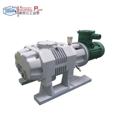 China Industrial Boilers Xinanjiang Roots Vacuum Pump China Roots Pump for sale